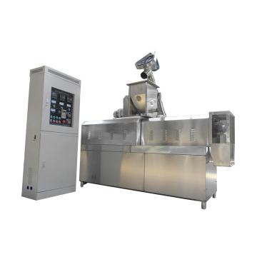 Ce Standard Full Automatic Corn Snacks Kurkure Extruder