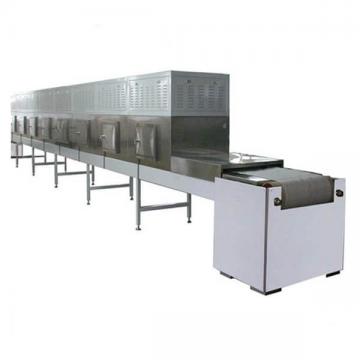 40kw 40kg / H Industry Ginkgo Seed Microwave Curing Drying Equipment