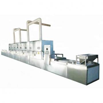 Continuous Vegetable and Fruit Dehydrator Machine