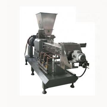 Fully Automatic 3D 2D Salad Pellet Snack Food Extrusion Fried Wheat Flour Bugle Machine Double Screw Extruder