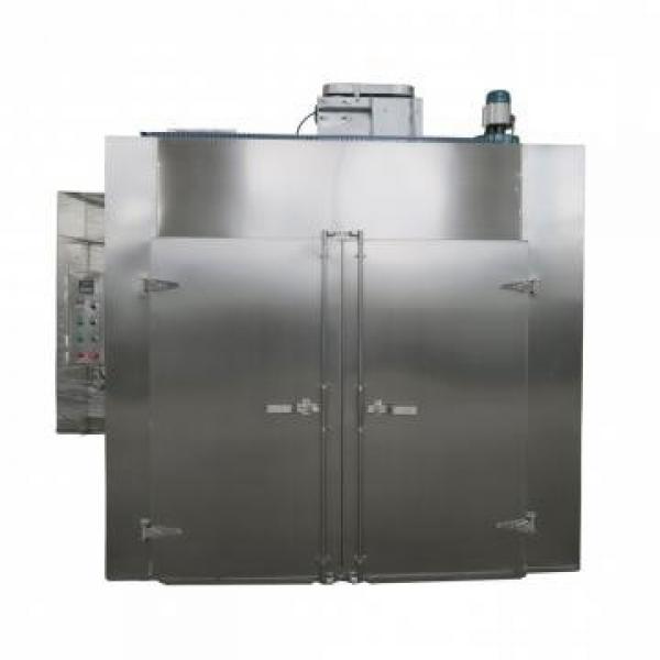 Industrial Hot Air Circulation Tray Bacon Pineapple Dryer Machine #1 image