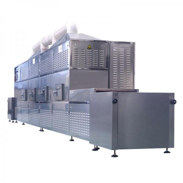 Industrial Fruit Dryer Machine/Hot Air Belt Dryer #1 image