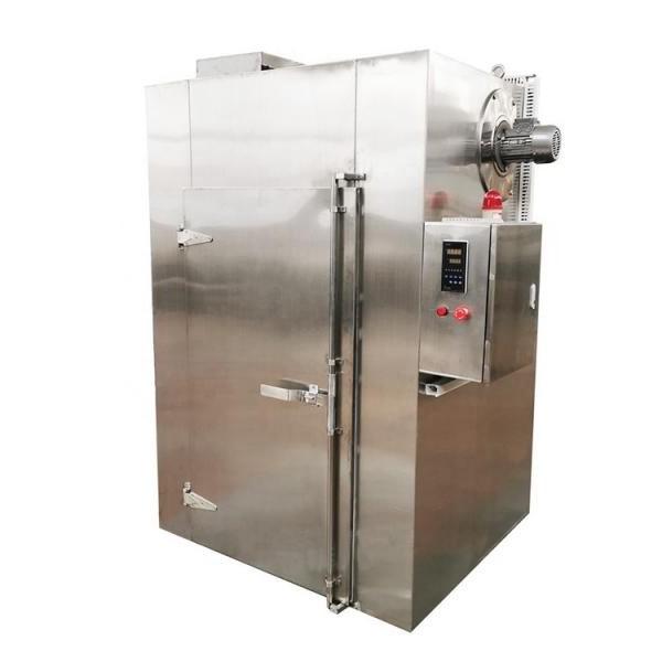 Industrial Hemp Hot Air Continuous Belt Fruit Dryer Drying Machine #1 image