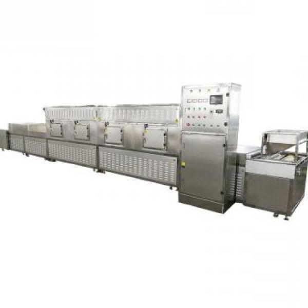 Large Commerical Microwave Vacuum Tray Dryer for Food Processing Industries #1 image