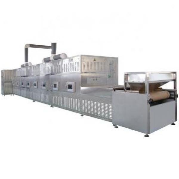 10 Kw Industrial Vacuum Fruits Vegetable Flower Drying and Sterilizing Machine Microwave Dryer #2 image