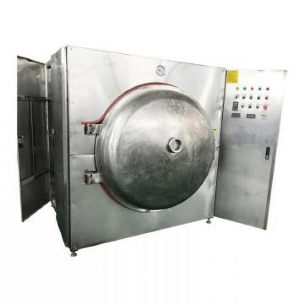 Htwx Model Food Industrial Microwave Vacuum Tray Dryer #1 image