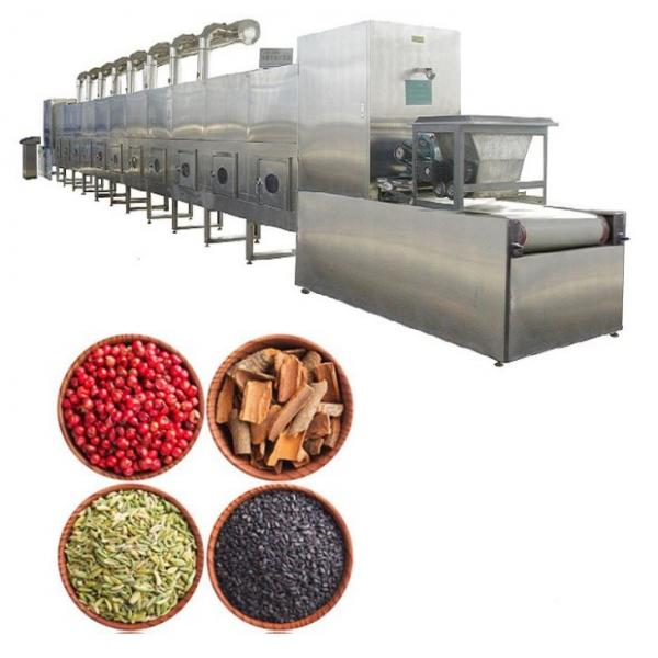 Saibainuo Continuous Vegetable Dehydrator Cassava Chip Microwave Vacuum Belt Drying Spices and Herbs Chili Drying Sterilizing Dryer #1 image