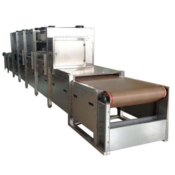 Large Industrial Continuous Microwave Conveying Belt Drying Equipment #1 image