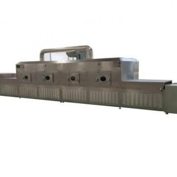 Large Industrial Continuous Microwave Vegetable Dryer Drying Equipment #1 image