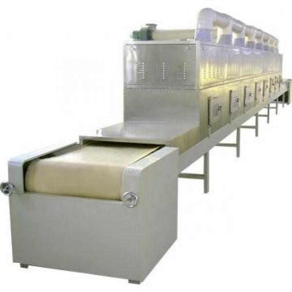 40kw Tunnel Belt Microwave Walnuts Nuts Curing Drying Machine #2 image