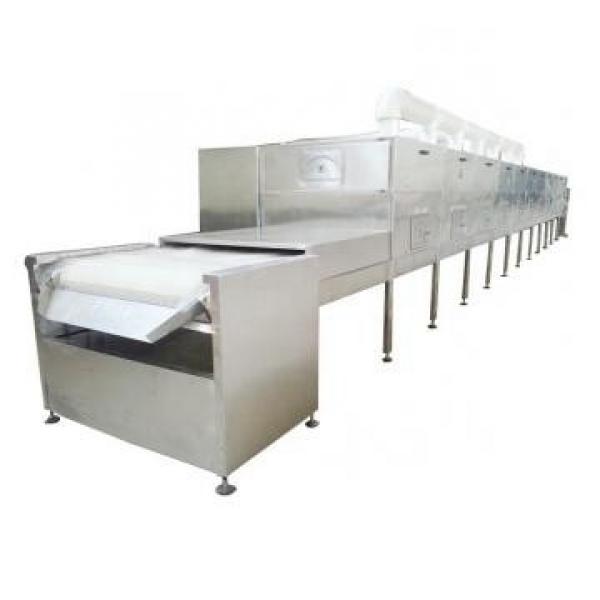Large Industrial Continuous Microwave Drying Equipment with Belt Conveyor #1 image