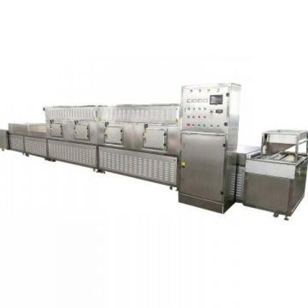 Energy Save Continuous Microwave Drying Equipment Microwave Kiln #1 image