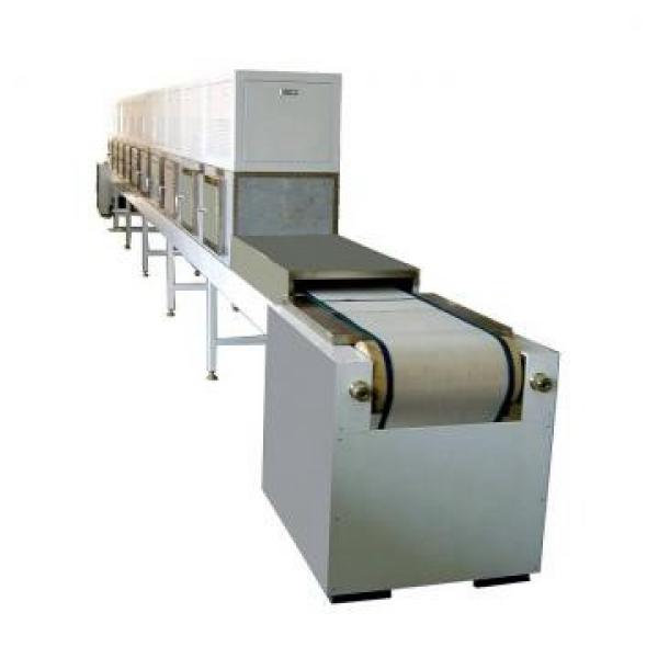 Large Industrial Continuous Microwave Conveyor Belt Microwave Drying Equipment #1 image