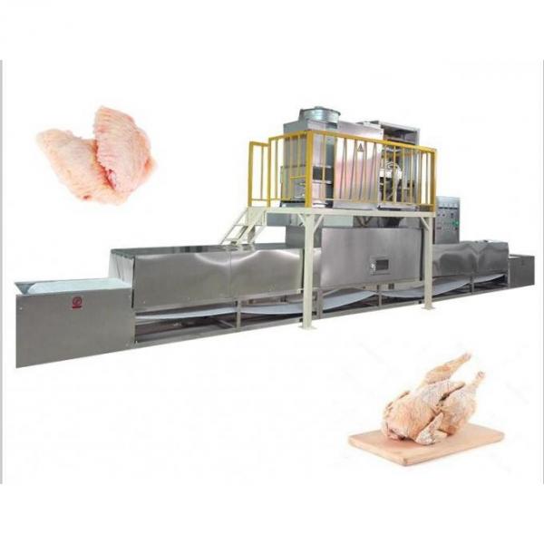 1000kg IQF Tunnel Freezer Industrial Use Freezing Machine for Seafood/Shrimp/Fish/Meat/Fruit/Vegetable/Pasta #2 image