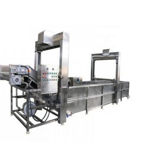 1050kg IQF Tunnel Freezer Industrial Use Freezing Machine for Seafood/Shrimp/Fish/Meat/Fruit/Vegetable/Pasta #2 image