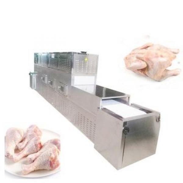 1000kg IQF Tunnel Freezer Industrial Use Freezing Machine for Seafood/Shrimp/Fish/Meat/Fruit/Vegetable/Pasta #3 image