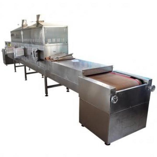 1050kg IQF Tunnel Freezer Industrial Use Freezing Machine for Seafood/Shrimp/Fish/Meat/Fruit/Vegetable/Pasta #1 image