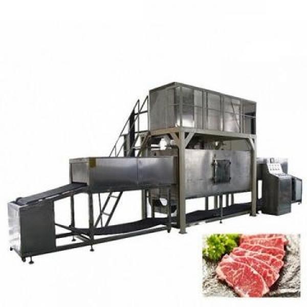 1100kg IQF Tunnel Freezer Industrial Use Freezing Machine for Seafood/Shrimp/Fish/Meat/Fruit/Vegetable/Pasta #2 image
