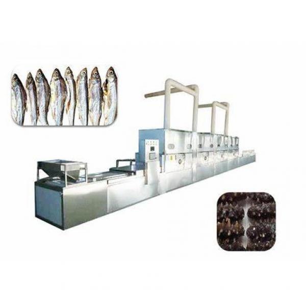 1100kg IQF Tunnel Freezer Industrial Use Freezing Machine for Seafood/Shrimp/Fish/Meat/Fruit/Vegetable/Pasta #3 image
