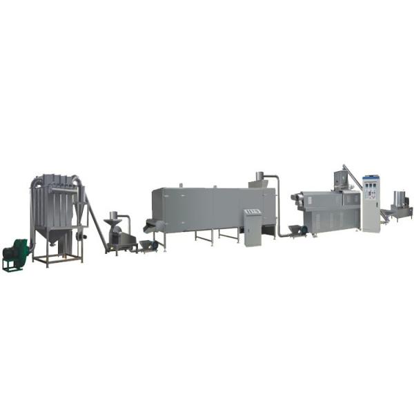 Continuous Extruded Instant Rice Food Processing Line #2 image