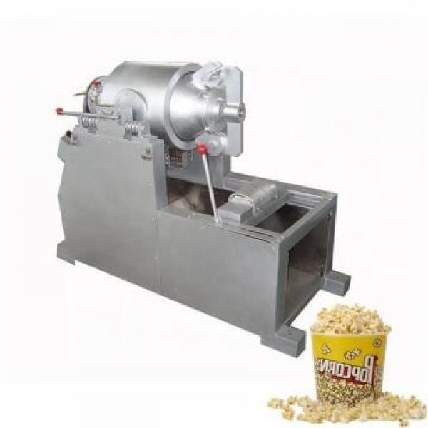 China Wheat Flour Snacks Extruder Snack Food Extruder Machine #3 image
