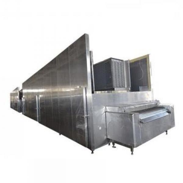 100kg/H 200kg/H Fried Frozen Potato French Fries Production Line for Sale #2 image