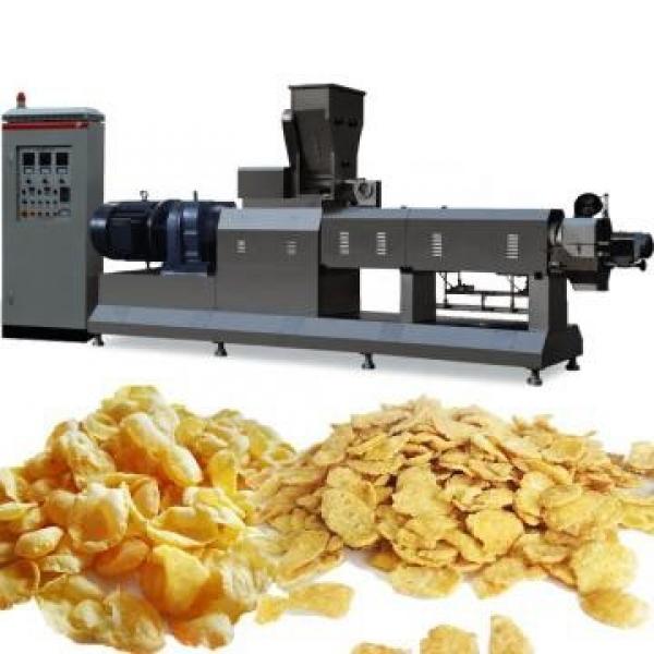 Twist Snack Potato Pellets Making Machinery/Corn Curls Food Extruder #1 image