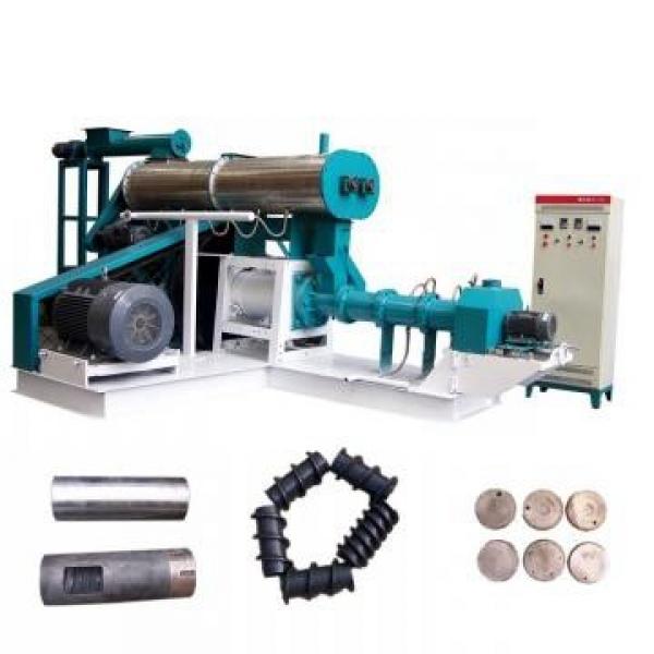 Floating Fish Feed Machine Pellet Extruder Sinking Fish Food Equipment Processing Line Plant #3 image
