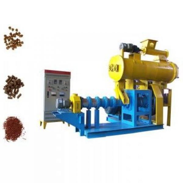 Fish Food Processing Line Machine, Dog Shape Pet Food Extruder as Extrusion Pellet Machine, One of Main Fish Farm Feed Equipment #3 image
