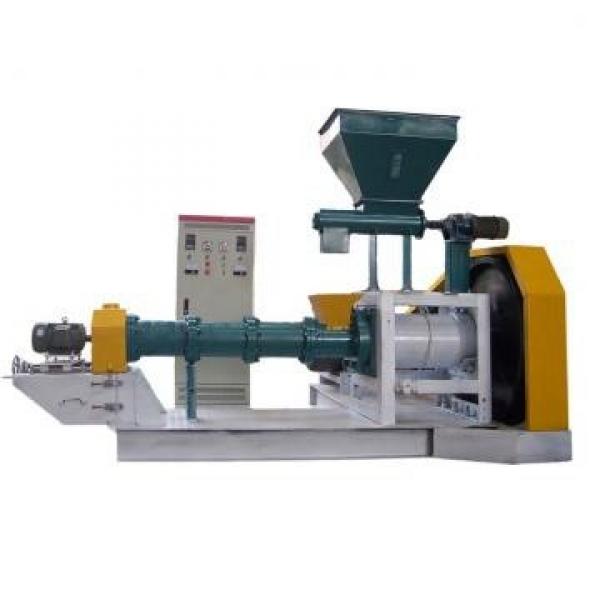 Automatic Small Fish Feed Processing Floating Feeding Pelleting Machine #1 image