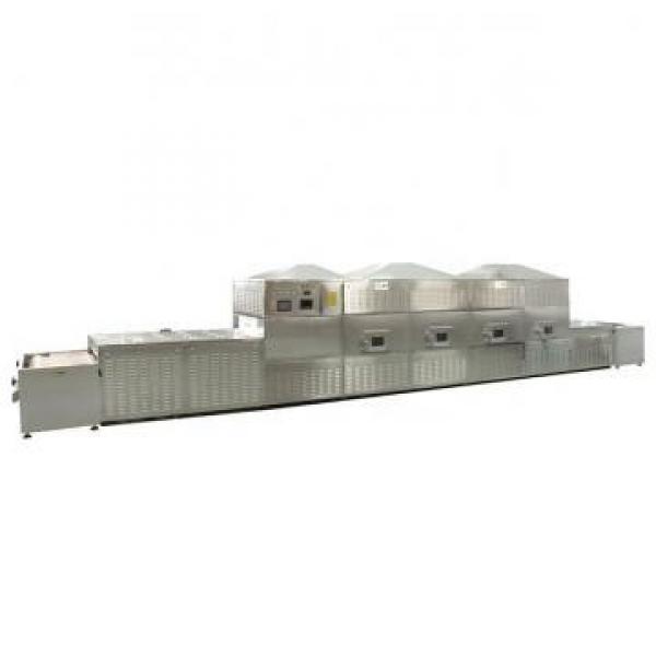 Tunnel Conveyor Microwave Curing Machine Puffing Equipment #2 image