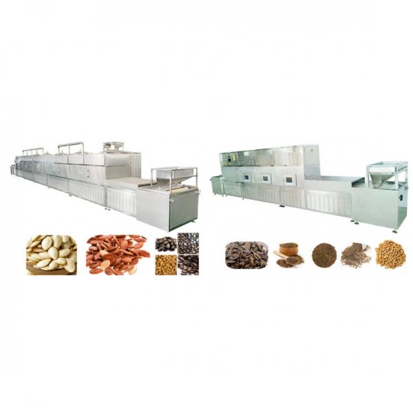 20kw 20kg / H Adzuki Bean Grains Microwave Curing Baking Machine #1 image