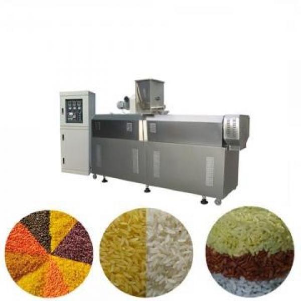 Automatic Twin Screw Extrusion Machine Corn Cereal Rice Food Expander Bulking Machine Snacks Extruder Manufacturing Plant Production Line #1 image