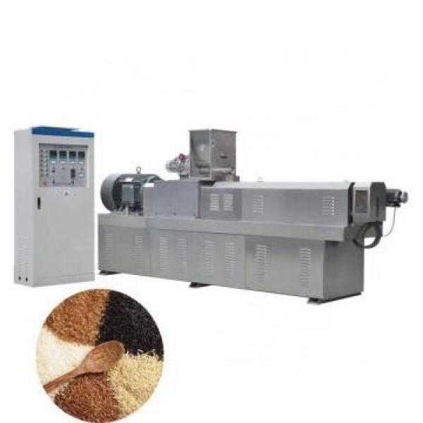 Automatic Water Cooling Stainless Steel Twin-Screw Reconstituted Rice Making Machine Artificial Rice Production Extruder #1 image