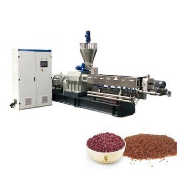 Fried Sanck Food Extruder Fried Bugles Chip Food Processing Line #2 image